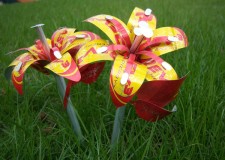 Blog_Prothero_David-Evelyn_04.20.11_5
