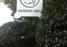 Look Where We Spotted Rev3 (Part 20)