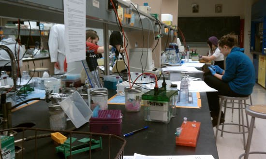 Fritz Gombart's lab at the Linus Pauling Institute