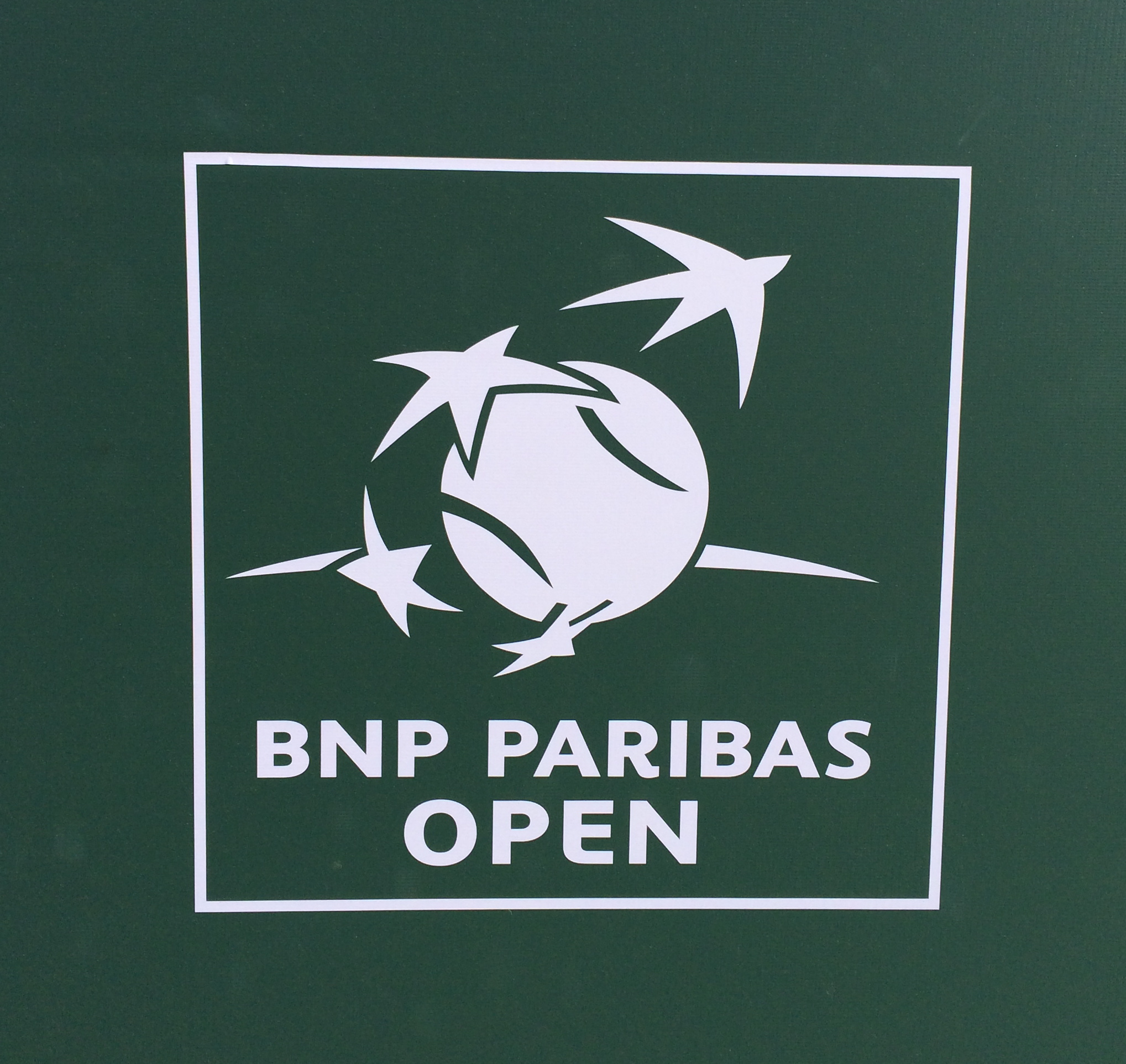 Bnp. BNP Paribas. БНП Париба логотип. Логотип BNP Paribas Polska. Французский банк BNP Paribas.