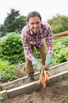 Man Gardening