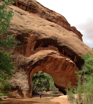 One of the sights I saw on my last backpacking adventure in Coyote Gulch, UT.