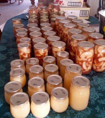 About half of the apple pie filling and applesauce my mom canned.