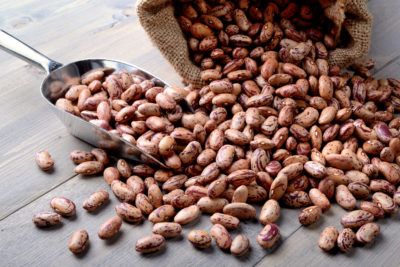 High Plant-Based Protein Diet: Beans