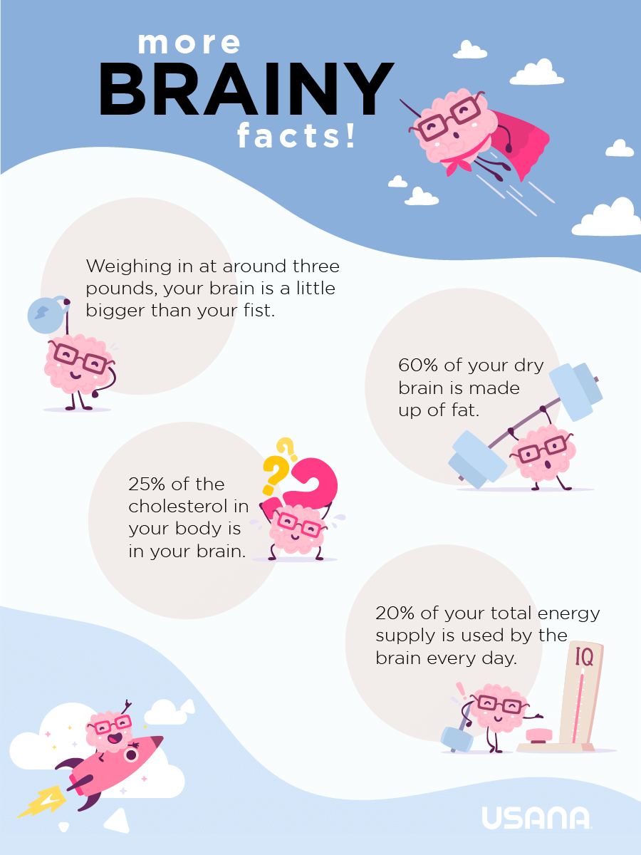 Brain Facts Infographic