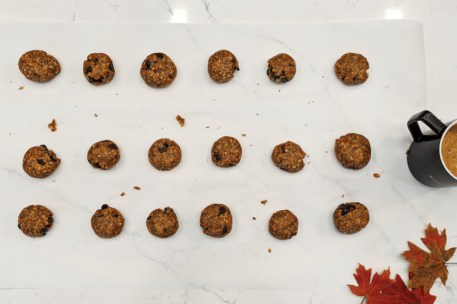 pumpkin spice protein bites