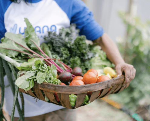 Garden Tower Gardening for Health