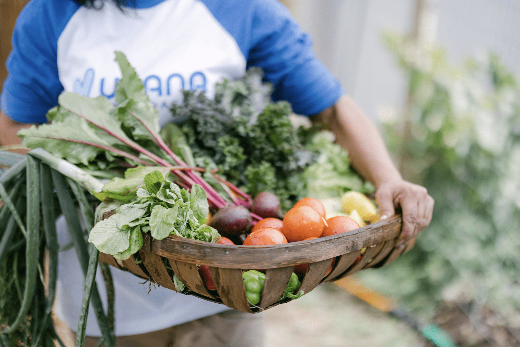 Garden Tower Gardening for Health