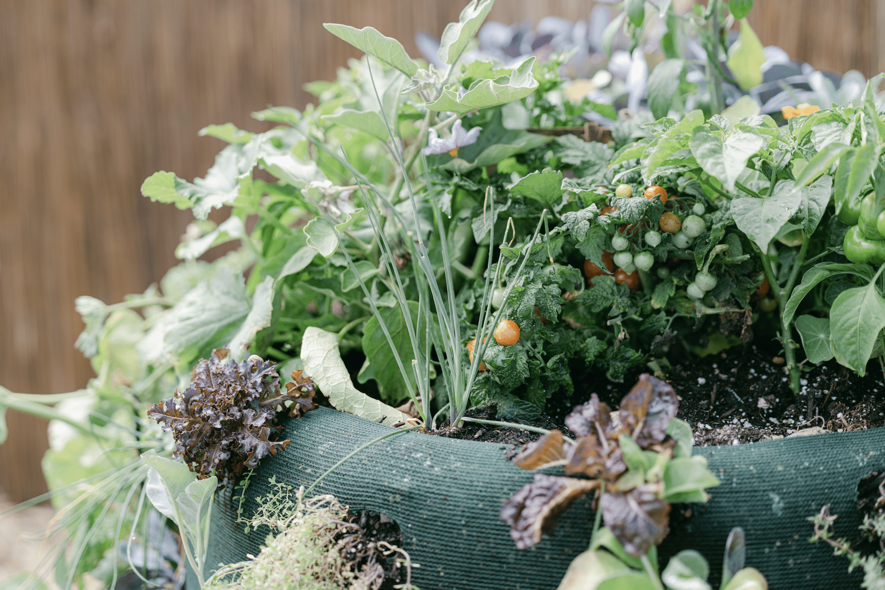 Garden Tower Gardening for Health