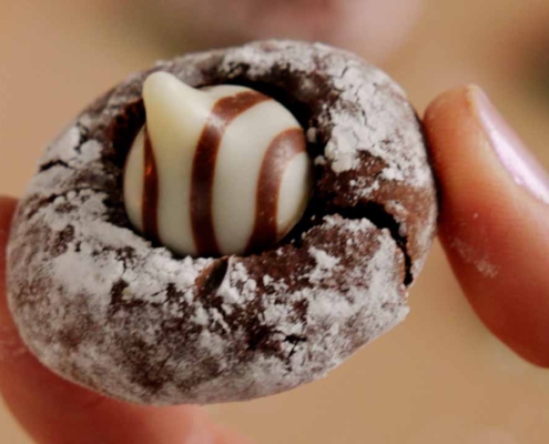 Protein Holiday Peppermint Crinkle Cookies Recipe